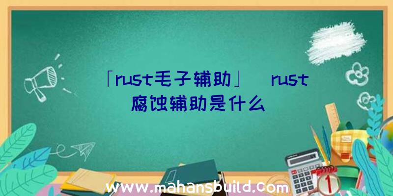 「rust毛子辅助」|rust腐蚀辅助是什么